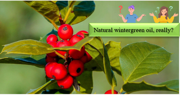 Wintergroenolie - Hoe kunnen synthetische ingrediënten worden geïdentificeerd en getest op natuurlijkheid?