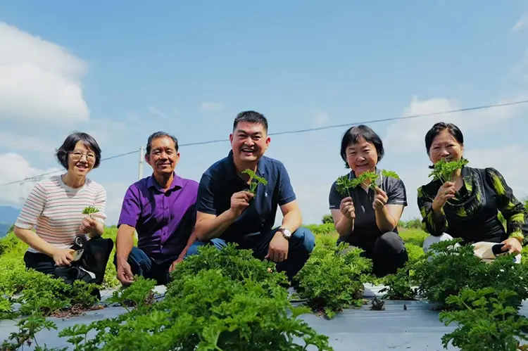 Odowell’s Yunnan Research and Study Tour in augustus 2025