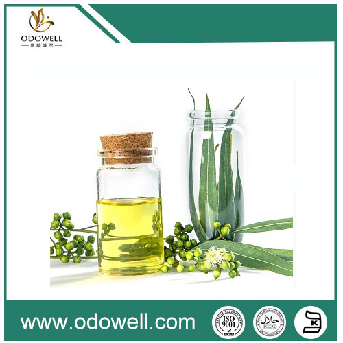 Introductie van onze premium eucalyptusolie (eucalyptus globulus) - natuurlijk, authentiek en veelzijdig