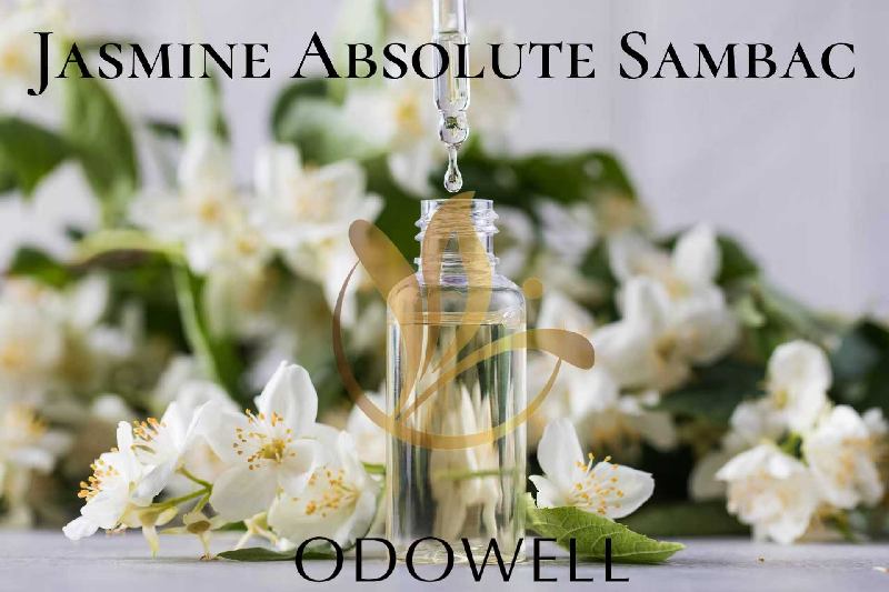 ​ODOWELL lanceert Jasmijn Absolute Sambac – een premium natuurlijke jasmijnabsoluut voor parfum en schoonheid
