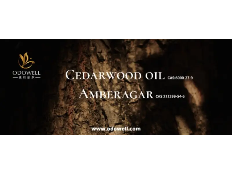 Is jouw kenmerkende geur echt uniek?