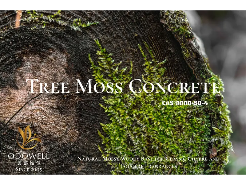 Tree Moss Concrete – ODOWELL's natuurlijke mos-houtachtige basis voor klassieke chypre- en fougère-geuren