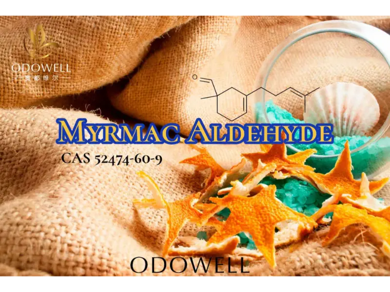 Myrmac Aldehyde – ODOWELL's ozonische mariene aldehyde voor frisse buitengeuren