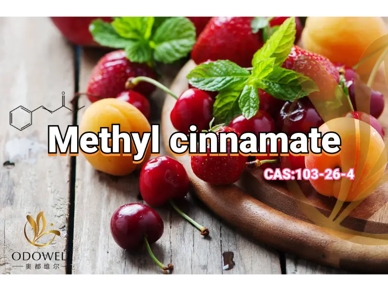 Methylcinnamaat – ODOWELL's zoete fruitige balsamico-ester voor oosterse geuren