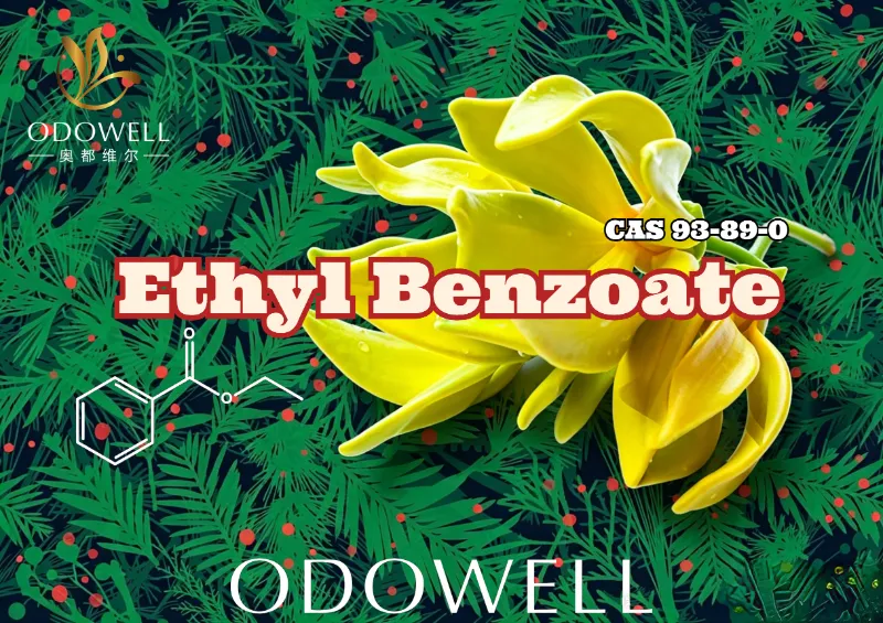 ODOWELL lanceert ethylbenzoaat: warme wintergroen-ylangester voor bloemige en oosterse elegantie
