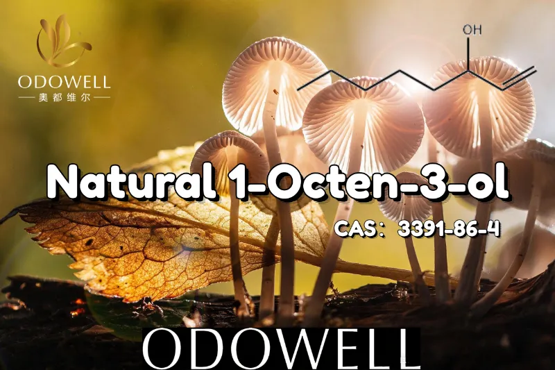 ODOWELL beveelt natuurlijke 1-Octen-3-ol aan voor paddestoelachtige en aardse smaaktoepassingen