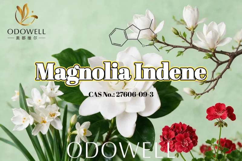 ODOWELL beveelt Magnolia-indeen aan voor frisse, bloemig-groene en citrusachtige geurtoepassingen