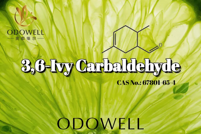 ODOWELL beveelt 3,6-Ivy Carbaldehyde aan voor intens groene en scherpe citrusgeurtoepassingen